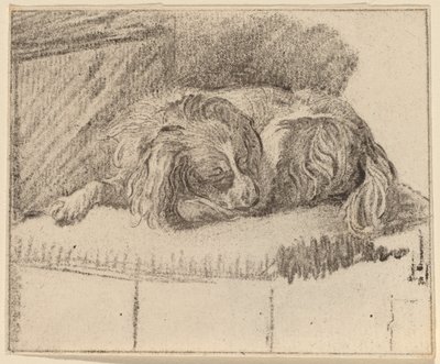 Løgnende hund av Cornelis Ploos van Amstel