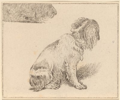 Sittende hund av Cornelis Ploos van Amstel