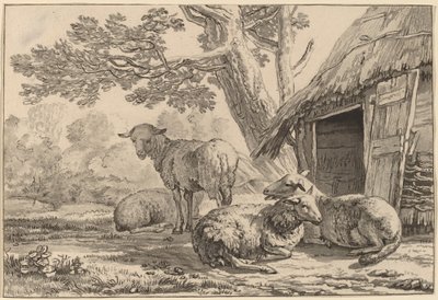 Sheepcote av Cornelis Ploos van Amstel