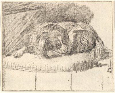 Sovende hund, 1777. av Cornelis Ploos van Amstel