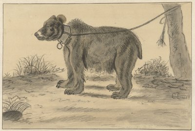Bjørn bundet til et tre av Cornelis Saftleven