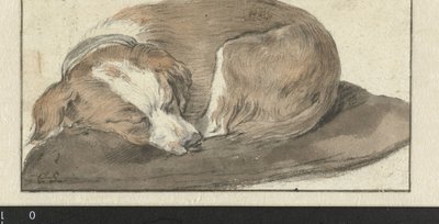 Sovende hund av Cornelis Saftleven