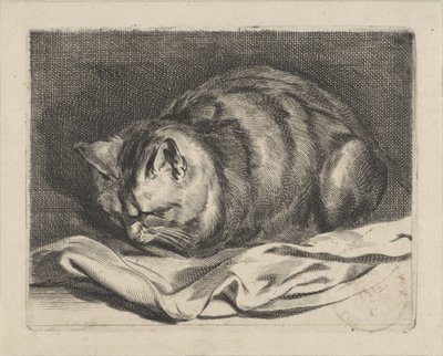 liten katt av Cornelis Visscher (II)