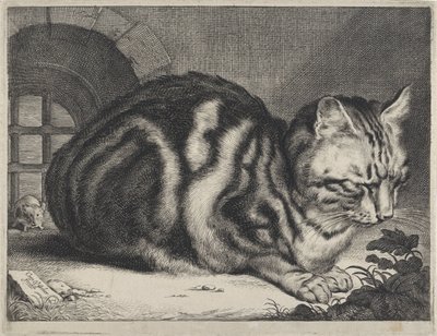 Den store katten av Cornelis Visscher (II)