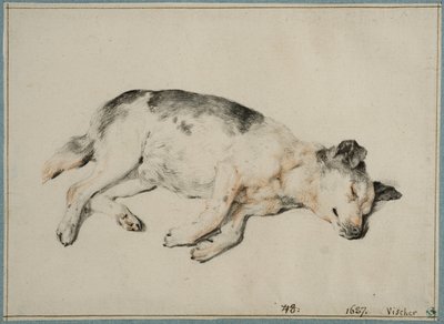  av Cornelis Visscher