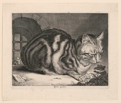Den store katten av Cornelis Visscher