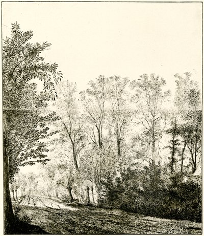 Sti gjennom en skog av Hendrick Cornelisz. Vroom
