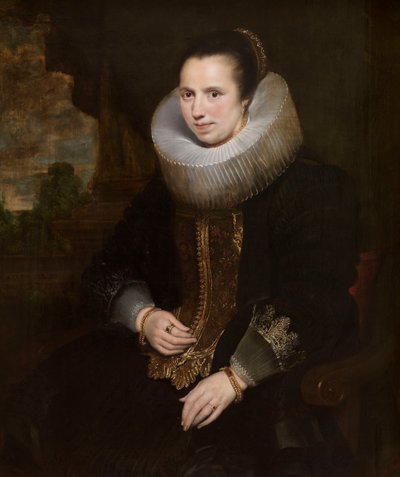  av Cornelis de Vos