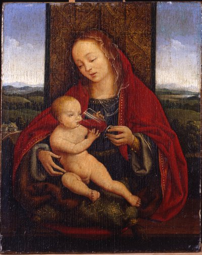 The Madonna and Child tronet av Cornelis van Cleve