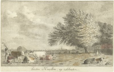 Kyr i en eng utenfor Haarlem, på Schooten (tittel på objekt) av Cornelis van Noorde