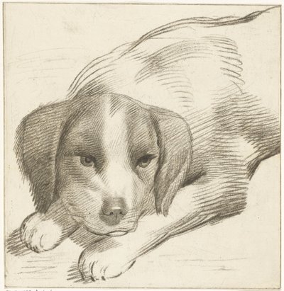 liggende hund av Cornelis van Noorde