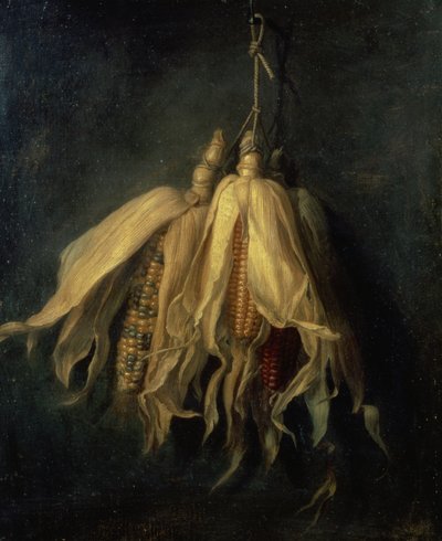 Tre maiskolber som henger fra en spiker (olje på lerret) av Cornelis van Spaendonck