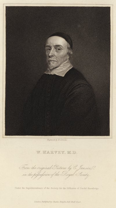 William Harvey av Cornelius Janssen van Ceulen