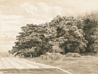 Wrottesley Hall - The Shrubbery: sepia-tegning, 1820 av Cornelius Varley