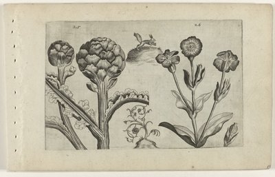 Artisjok en prikneus Kjenn liljen (serietittel) av Crispijn van de Passe (I) (attributed to)
