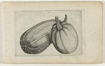 To meloner Know the Lilies (serietittel) av Crispijn van de Passe (I) (attributed to)