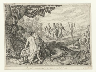 Apulian Shepherd ble til et oliventre Metamorphoses of Ovid (serietittel) av Crispijn van de Passe (II) (workshop of)