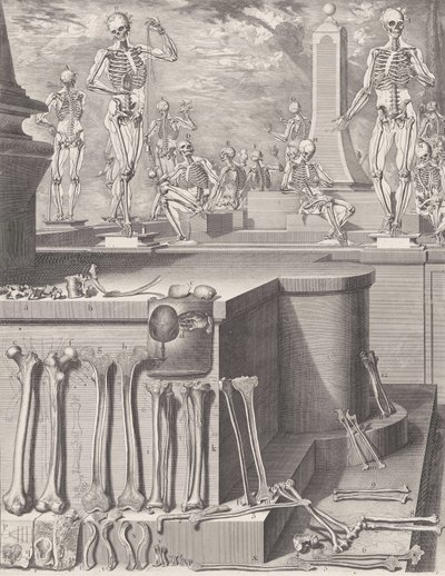 Plate for 