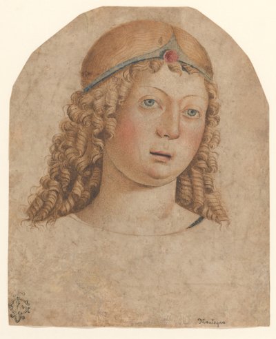 Leder for en ungdom med et diadem, sent på 1400-tallet - begynnelsen av 1500-tallet. av Cristoforo Caselli