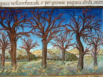 Verdens ende: trærne vil bli dekket av blod (c.147v). 1476 av Cristoforo De Predis