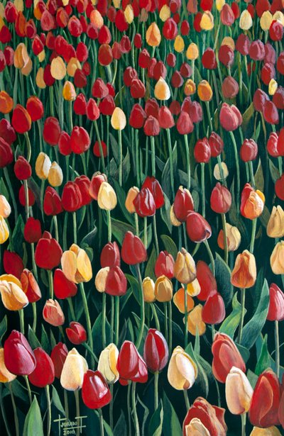Tulipaner, 2010 (akryl på papir) av Cruz Jurado Traverso