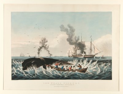 The Whale Fishery:/ Angripe en spermhval av Currier and Ives