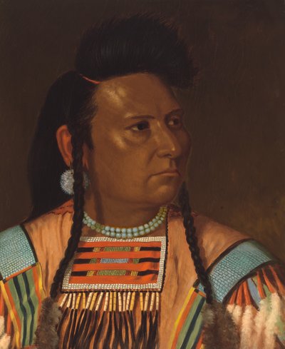 Høvding Joseph, juni 1878. av Cyrenius Hall