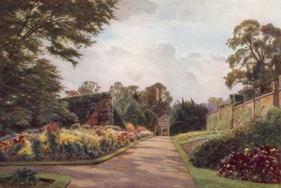 Tidlige krysantemum, Claremont (farge litho) av Cyril Ward