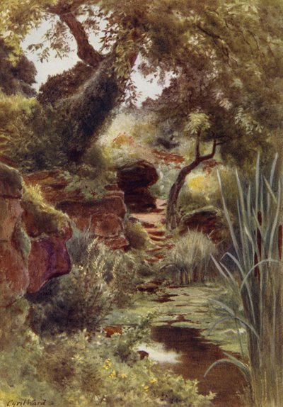 En del av Rock Garden ved Upper Lake, Sandringham (farge litho) av Cyril Ward