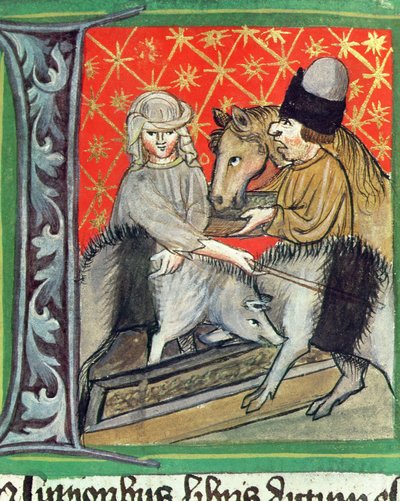 Avl av griser og hester, fra Opus Rural Commodorum av Pietro de Crescenzi (1230-1321) av Czech School