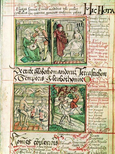 Hvordan kurere sykdommer, fra Tractatus de Pestilencia av Czech School