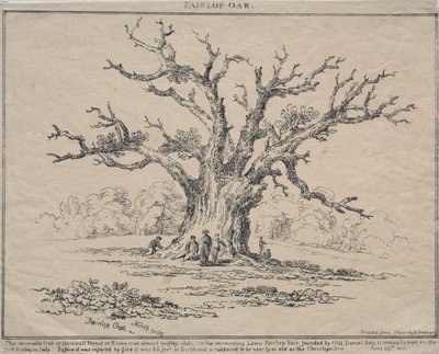 Fairlop eik av D. H. Redman