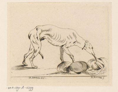 spise hund av D. Merrem