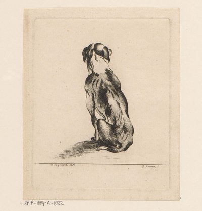 Sittende hund sett bakfra av D. Merrem