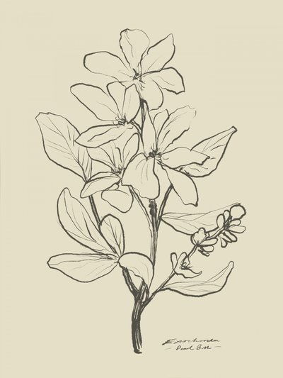 Blomster 1 av Dan Hobday