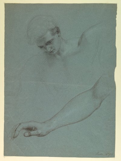 Studier for Angel i "Mercy
