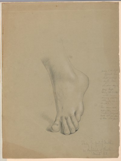 Studie for Foot of Matthew i "Christiana and Her Children" av Daniel Huntington