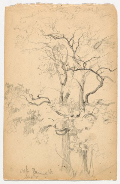 Studie av Oaks ved Dennings Point av Daniel Huntington