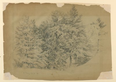 Study of Trees, North Conway, New Hampshire   1261925   no       norwegian Successfully Translated  Original: Sac de Rome en 455 : Genseric (ou Geiseric) (vers 399-477) et les Vandales envahissent Rome (Geiseric the Lame invades Rome). Ils pillent la ville av Daniel Huntington