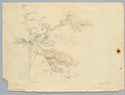 Studie av Two Pines, Catskill Mountains av Daniel Huntington