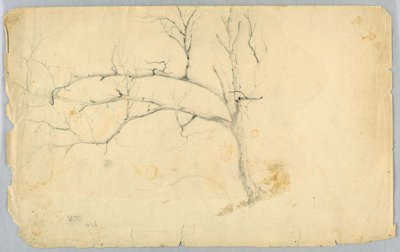 Studie av et bladløst tre av Daniel Huntington