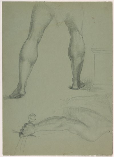 To partielle anatomiske studier av Daniel Huntington
