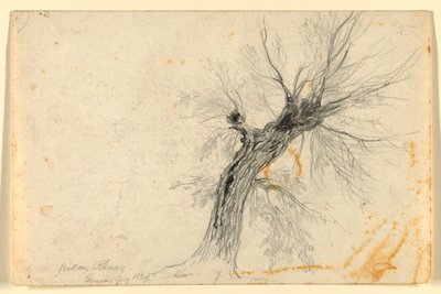 Willow on the Rhône, Genève, Sveits av Daniel Huntington