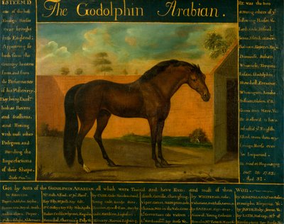 Godolphin-araberen av Daniel Quigley