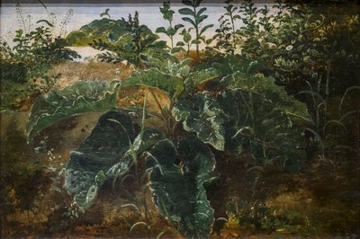 Forgrunnsstudie med bryggeblader av Dankvart Dreyer