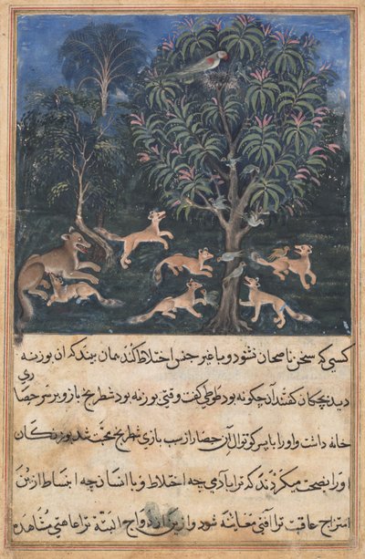 Side fra Tales of a Parrot Tuti-nama: Femte natt: Papegøyemoren advarer..., ca. 1560. av Daswanth