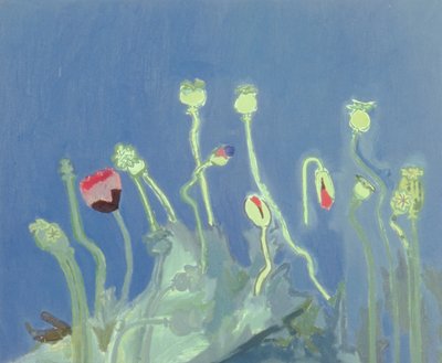 Poppyheads (olje på lerret) av David Alan Redpath Michie