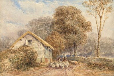  av David Cox