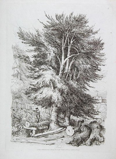 Bøk nr. 18, illustrasjon fra Progressive Lessons on Landscape for Young Beginners, 1816 (myk grunnetsing) av David Cox