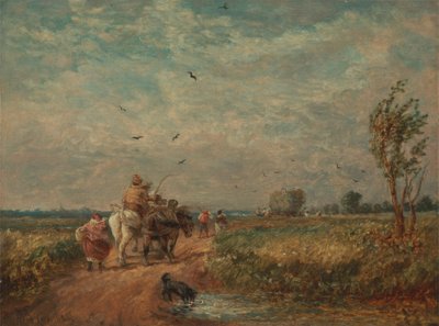 Skal til Hayfield av David Cox
